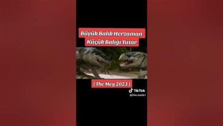 Yeni̇ Film Fragmanları: Heyecan Veri̇ci̇ İ̇lk Gösteri̇mler ve Analizleri̇