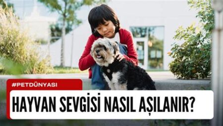 Oyuncuların Hayvan Sevgisi